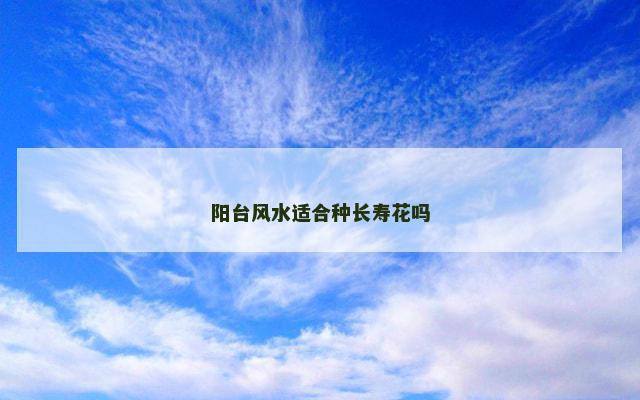 阳台风水适合种长寿花吗
