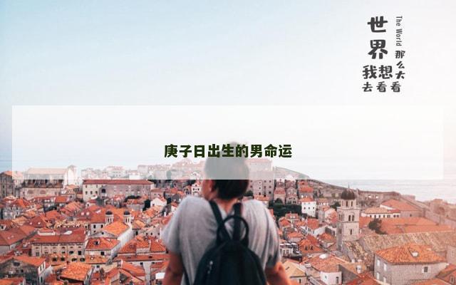庚子日出生的男命运