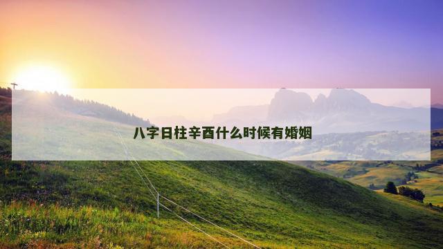 八字日柱辛酉什么时候有婚姻