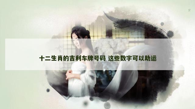 十二生肖的吉利车牌号码 这些数字可以助运