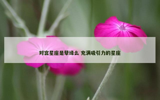 对宫星座是孽缘么 充满吸引力的星座