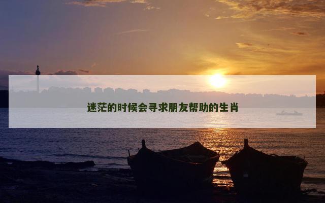 迷茫的时候会寻求朋友帮助的生肖