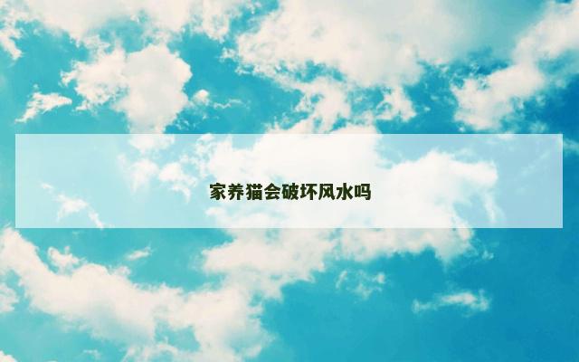 家养猫会破坏风水吗