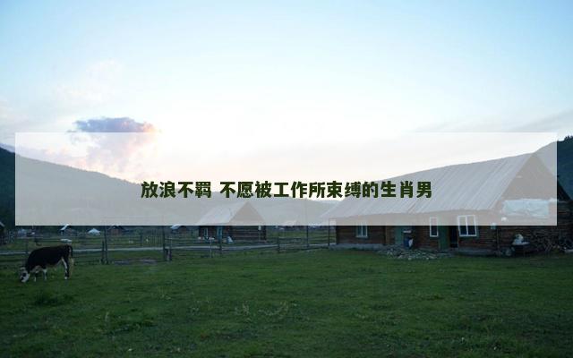 放浪不羁 不愿被工作所束缚的生肖男