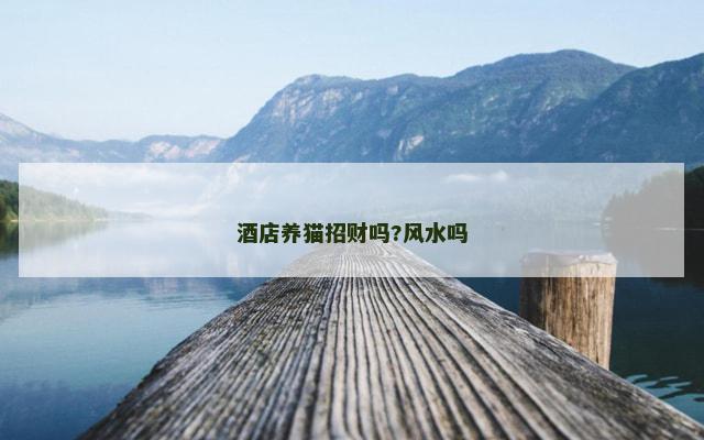 酒店养猫招财吗?风水吗