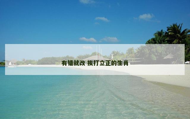 有错就改 挨打立正的生肖