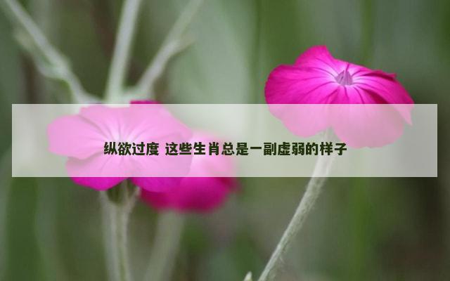 纵欲过度 这些生肖总是一副虚弱的样子