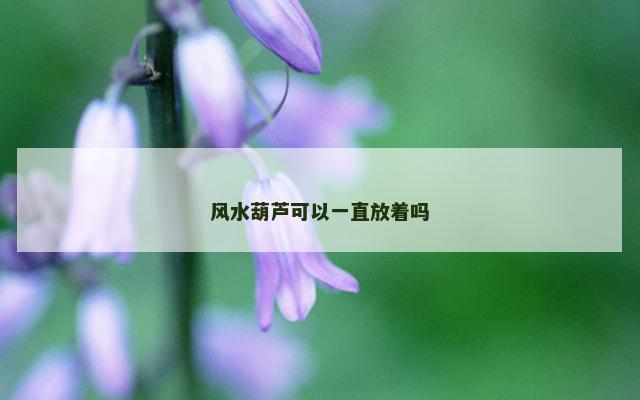 风水葫芦可以一直放着吗