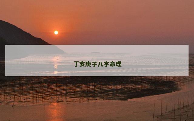 丁亥庚子八字命理