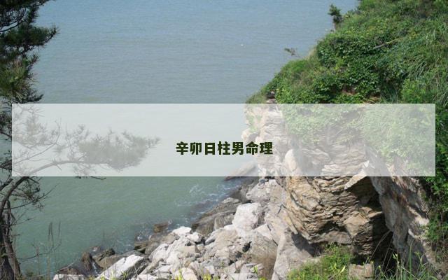辛卯日柱男命理