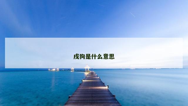戌狗是什么意思