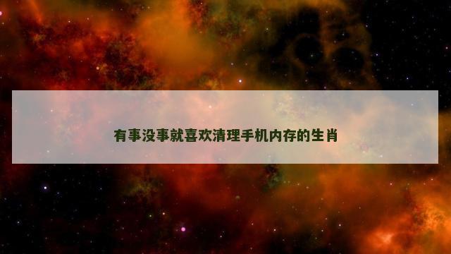 有事没事就喜欢清理手机内存的生肖