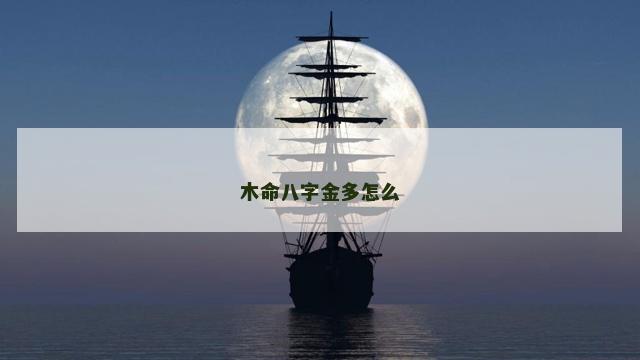 木命八字金多怎么