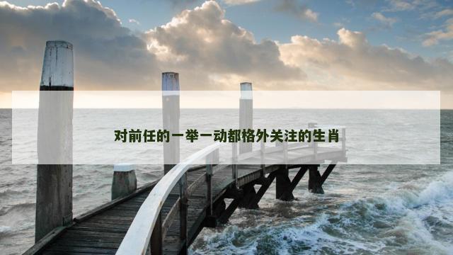 对前任的一举一动都格外关注的生肖