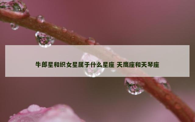 牛郎星和织女星属于什么星座 天鹰座和天琴座