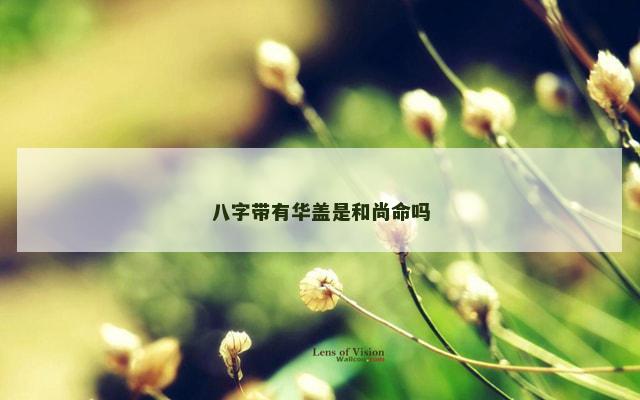 八字带有华盖是和尚命吗