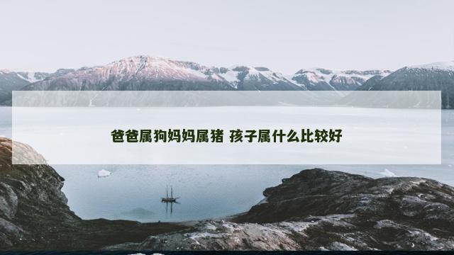 爸爸属狗妈妈属猪 孩子属什么比较好