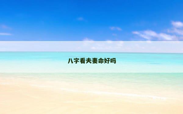 八字看夫妻命好吗