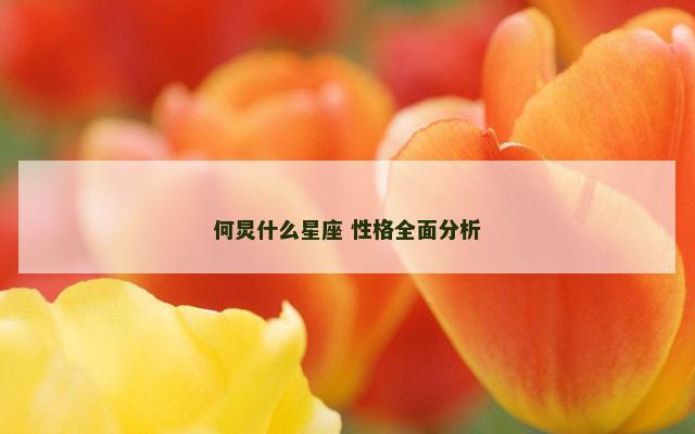 何炅什么星座 性格全面分析