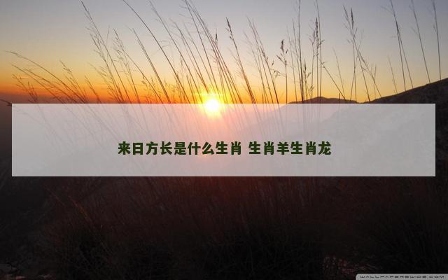 来日方长是什么生肖 生肖羊生肖龙