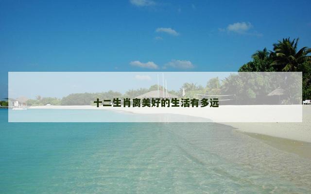 十二生肖离美好的生活有多远