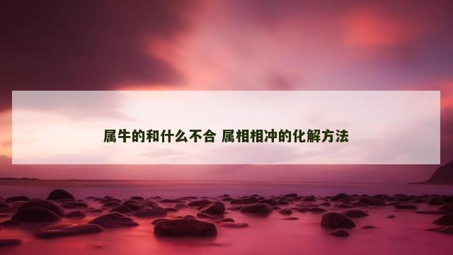 属牛的和什么不合 属相相冲的化解方法