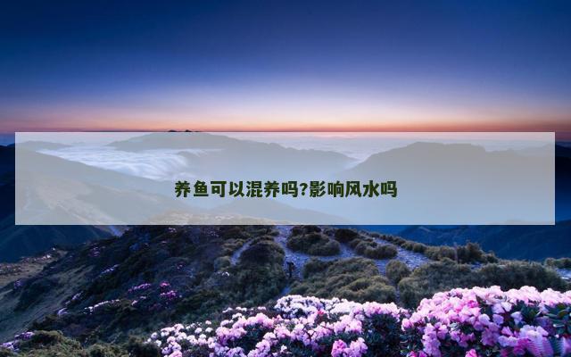 养鱼可以混养吗?影响风水吗