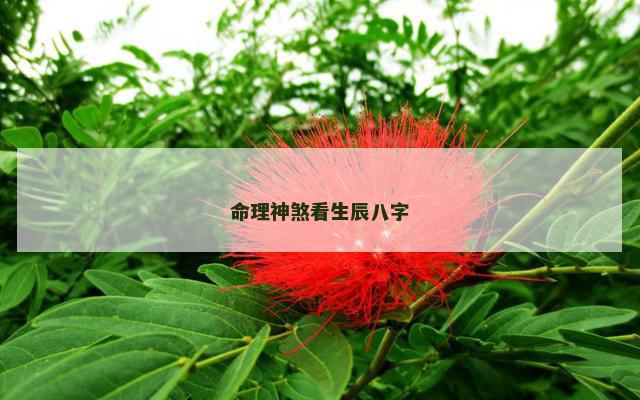 命理神煞看生辰八字