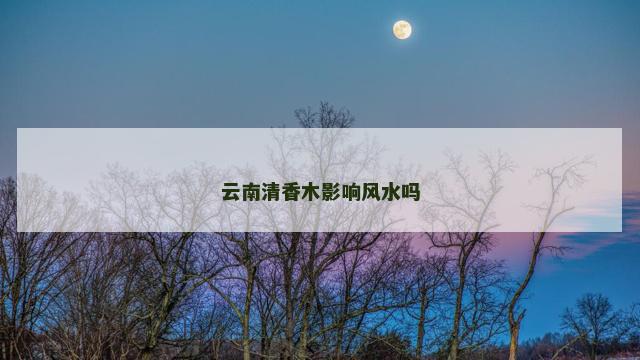 云南清香木影响风水吗