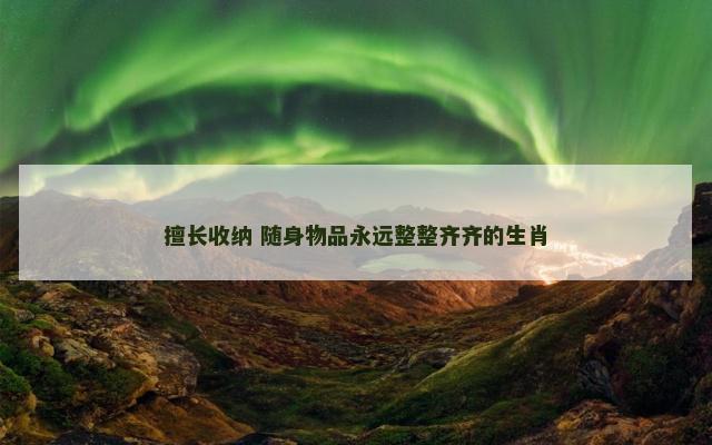 擅长收纳 随身物品永远整整齐齐的生肖