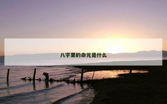 八字里的命元是什么