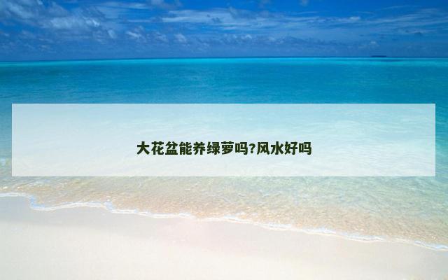大花盆能养绿萝吗?风水好吗