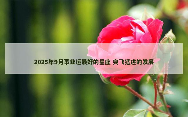 2025年9月事业运最好的星座 突飞猛进的发展