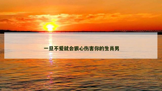 一旦不爱就会狠心伤害你的生肖男