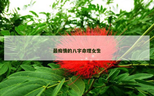 最痴情的八字命理女生