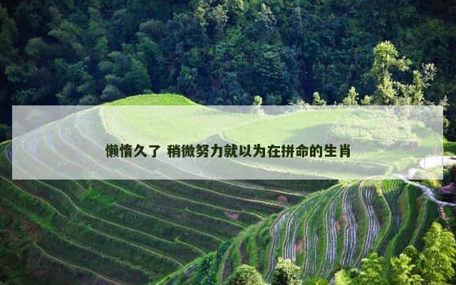 懒惰久了 稍微努力就以为在拼命的生肖