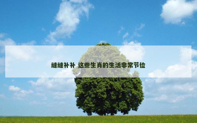 缝缝补补 这些生肖的生活非常节俭