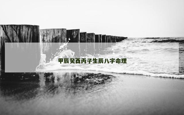 甲辰癸酉丙子生辰八字命理
