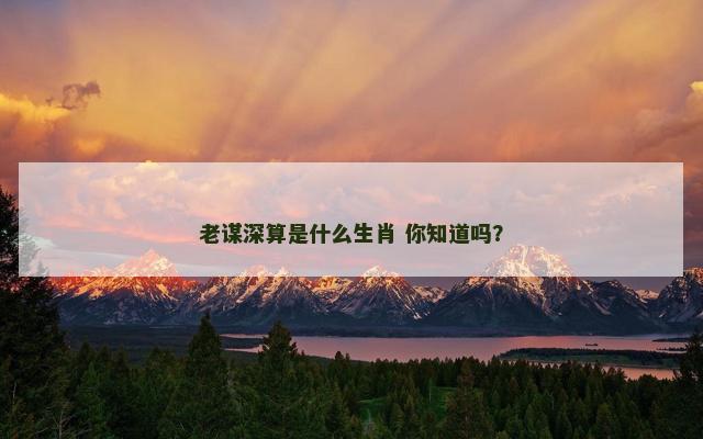 老谋深算是什么生肖 你知道吗？