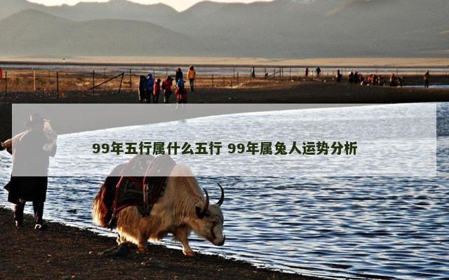 99年五行属什么五行 99年属兔人运势分析