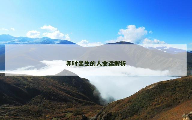 卯时出生的人命运解析