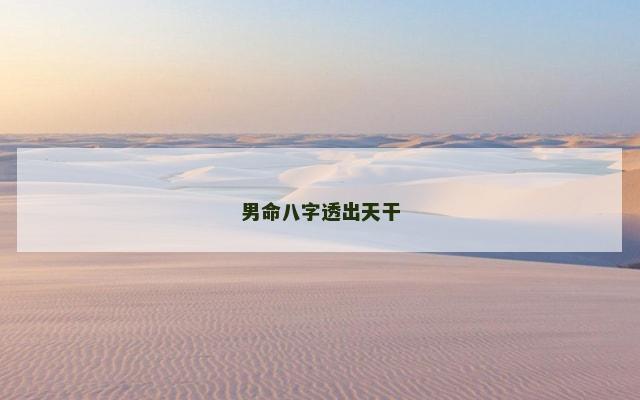 男命八字透出天干