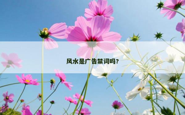 风水是广告禁词吗?