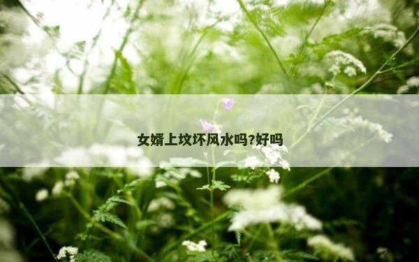 女婿上坟坏风水吗?好吗