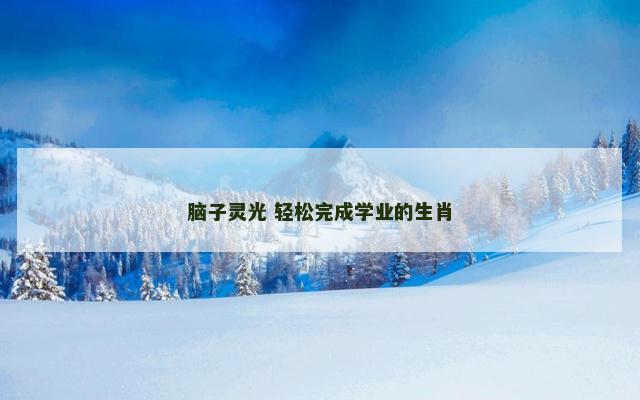 脑子灵光 轻松完成学业的生肖