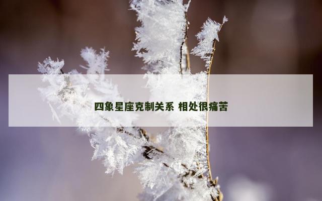 四象星座克制关系 相处很痛苦