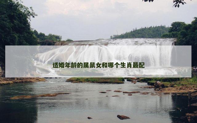 适婚年龄的属鼠女和哪个生肖最配