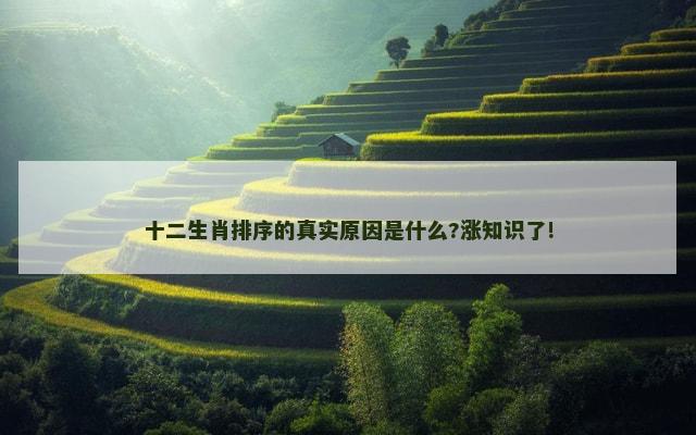十二生肖排序的真实原因是什么?涨知识了!