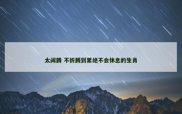 太闹腾 不折腾到累绝不会休息的生肖