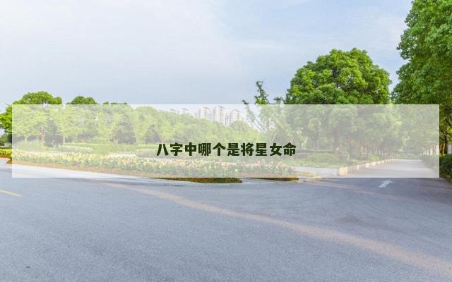 八字中哪个是将星女命